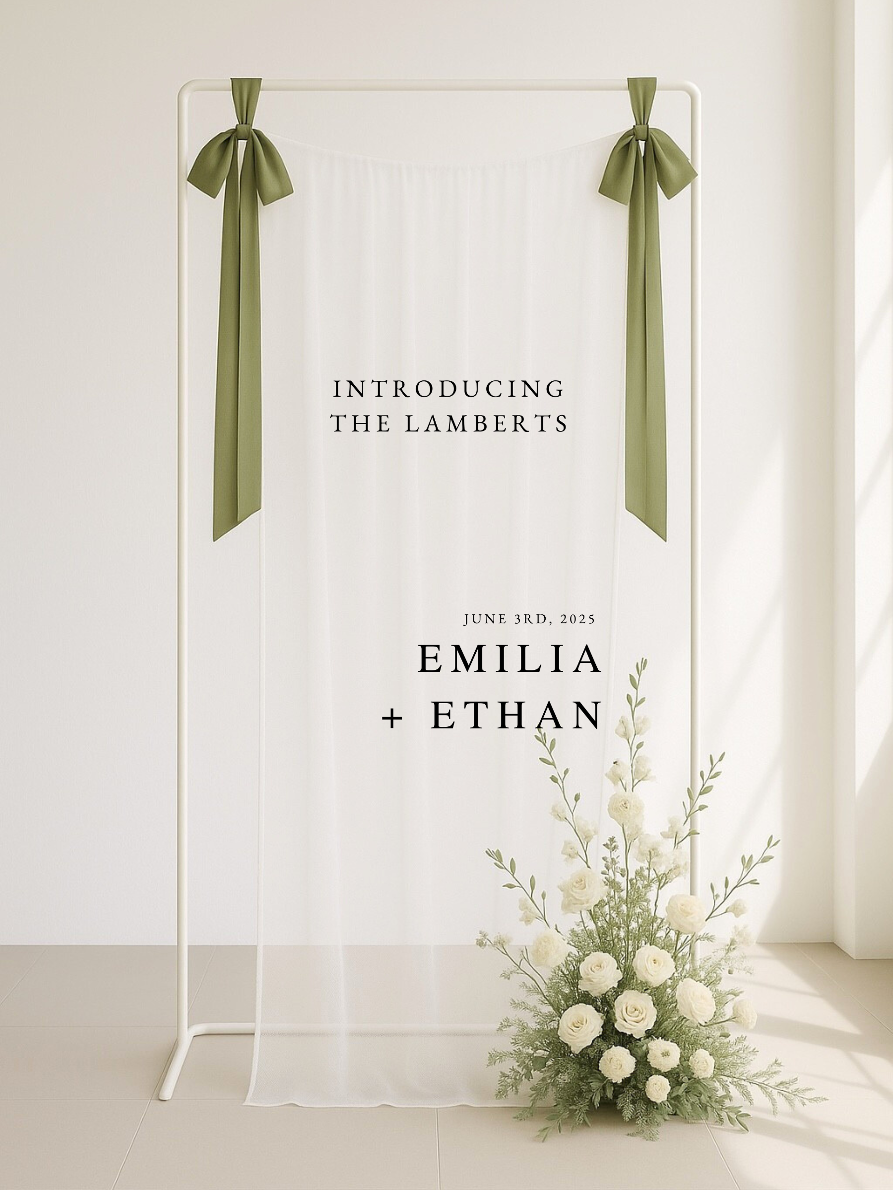 Emilia | Sheer Tulle Welcome Sign II